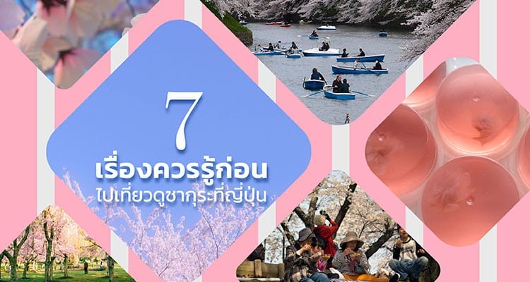 7 เรื่องที่ควรรู้ก่อนชมซากุระที่ญี่ปุ่น