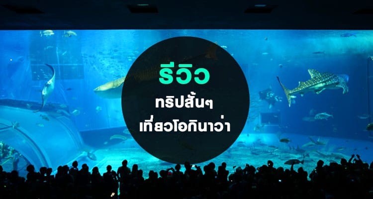 รีวิว ทริปสั้นๆ ไปเที่ยวโอกินาว่า 3 วัน 2 คืน ลางานวันเดียวอย่างกับไปเกาะเสม็ด