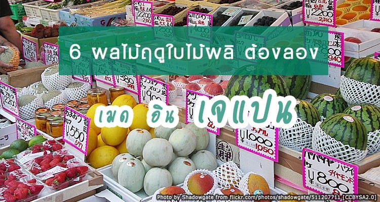 6 ผลไม้ต้องชิมเมื่อไปเที่ยวญี่ปุ่นในฤดูใบไม้ผลิ