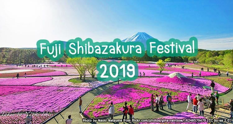 เทศกาลชิบะซากุระ พร้อมวิวภูเขาไฟฟูจิ Fuji Shibazakura Festival 2019