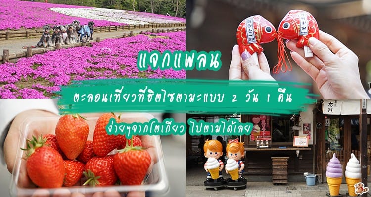 แจกแพลน ตะลอนเที่ยวที่ฮิตไซตามะแบบ 2 วัน 1 คืน ง่ายๆจากโตเกียว ไปตามได้เลย