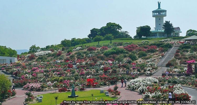 สวนคาโนยะบาระ (Kanoya Bara Park )