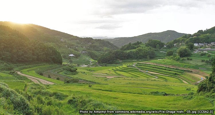 นาขั้นบันไดโอฮากะนิชิโนะทะนะดะ (Ohaganishi no Tanada)