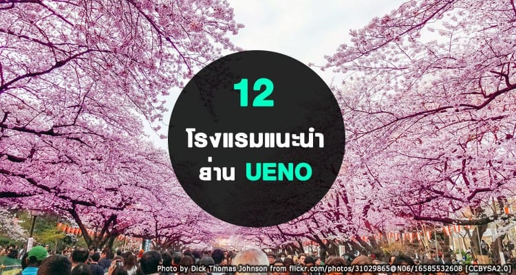 12 โรงแรมน่าพัก ราคาเริ่มต้นหลักร้อย ย่านอุเอโนะ ย่านฮิตของโตเกียว