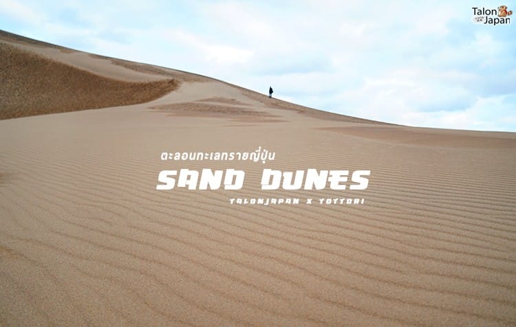 รีวิว เที่ยวทะเลทรายญี่ปุ่น และพิพิธภัณท์ปราสาททรายสุดอลังการ Tottori Sand dunes and museum