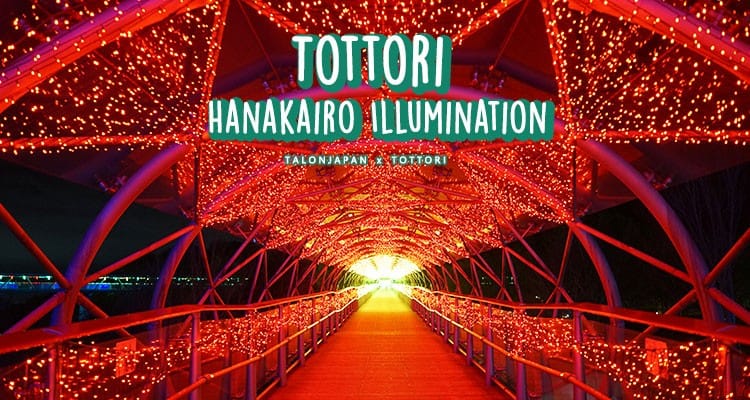 รีวิว งานแสดงไฟสุดอลังการของญี่ปุ่น ที่สวนดอกไม้ฮานะไคโร Hanakairo Illumination
