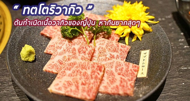 รีวิว ทตโตริวากิว เนื้อย่างยากินิกุ เนื้อลับ ทีเด็ด ในร้านดีจนมิชลินแนะนำ Yakiniku Kuro