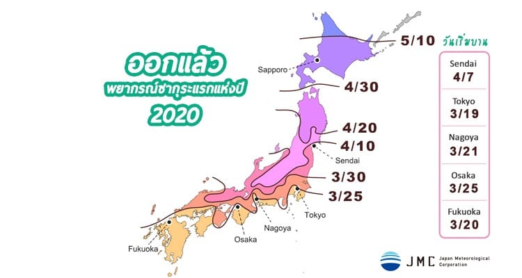 2020 Sakura Forecast พยากรณ์ซากุระบานปี 2563 อัพเดต วันที่ 10 มกราคม