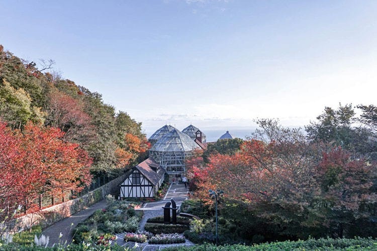 รวม 3 จุดถ่ายรูป สวยปัง ช่วงใบไม้เปลี่ยนสีที่โกเบ Kobe Autumn Spot