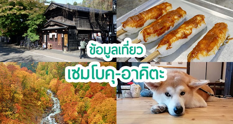 เที่ยวเมืองซามูไร Kakunodate และ เมืองธรรมชาติทะเลสาบ Tazawako จังหวัดอาคิตะ