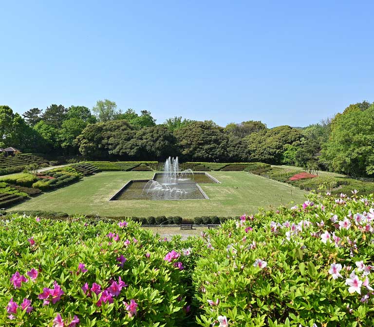 สวนป่า ไอจิ (Aichi Prefecture Forest Park)