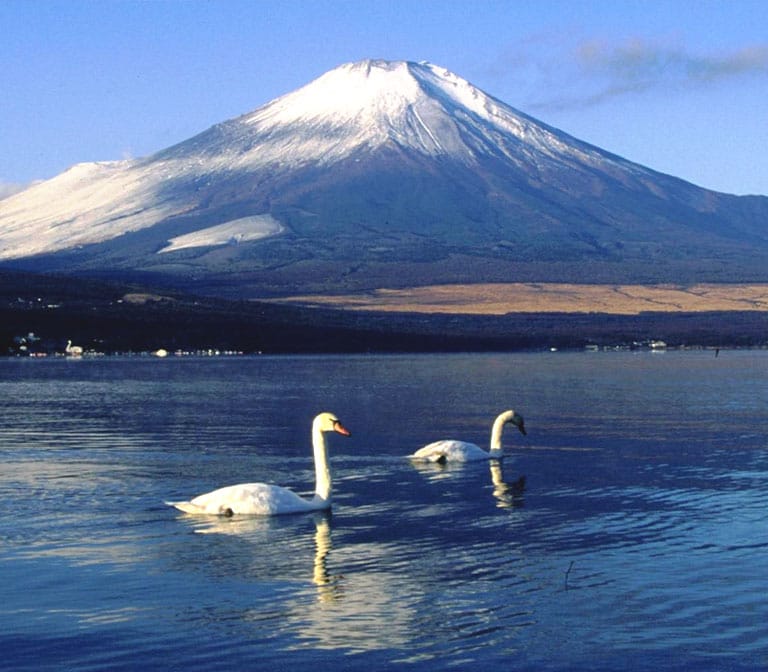 ทะเลสาบยามานาคาโกะ Lake Yamanakako