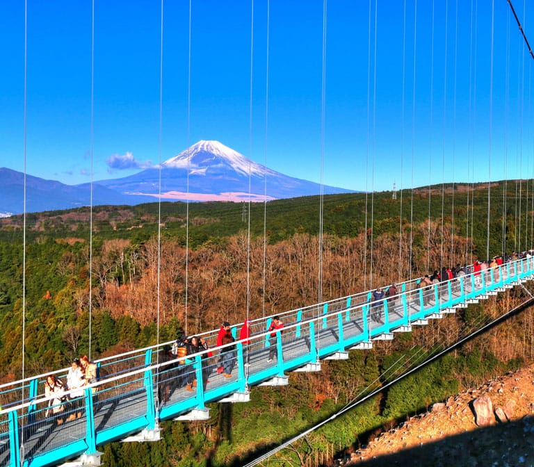 สะพานแขวนมิชิมะ (Mishima Sky Walk)