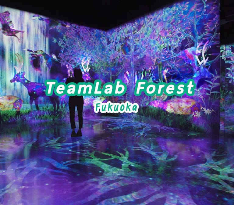 พิพิธภัณฑ์ศิลปะดิจิตอล TeamLab Forest Fukuoka
