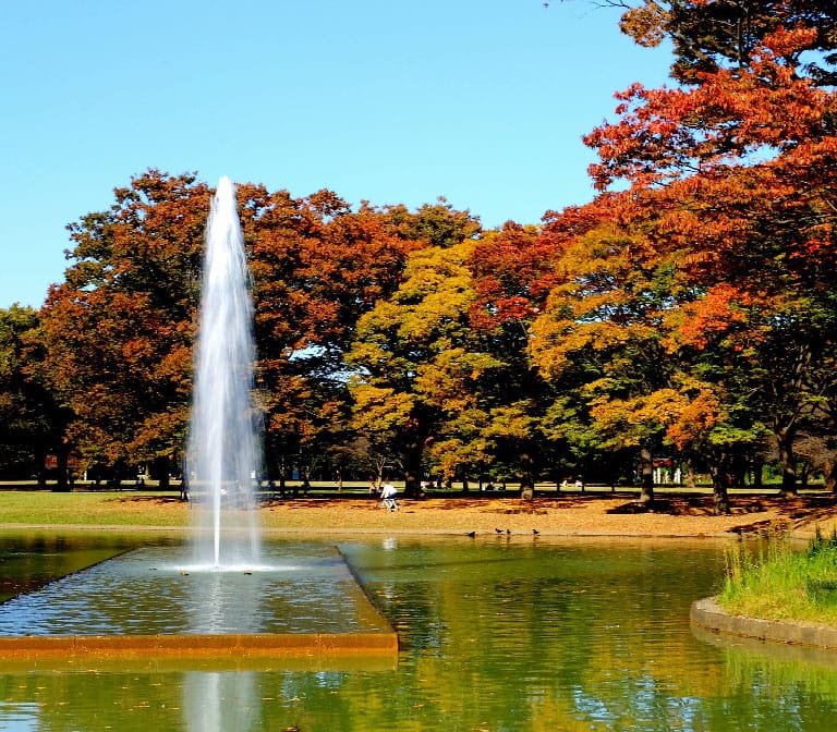 สวนสาธารณะโยโยกิ – Yoyogi Park