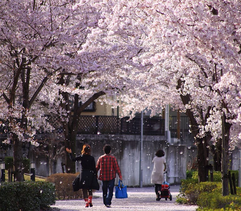 สวน Expo 2005 Aichi Commemorative Park