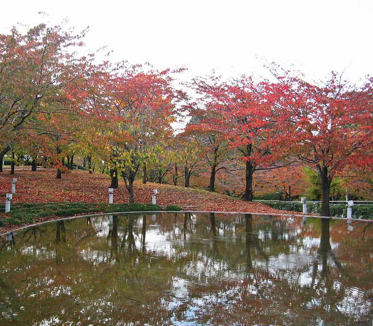 สวนฮาคุซัง Hakusan Park Niigata