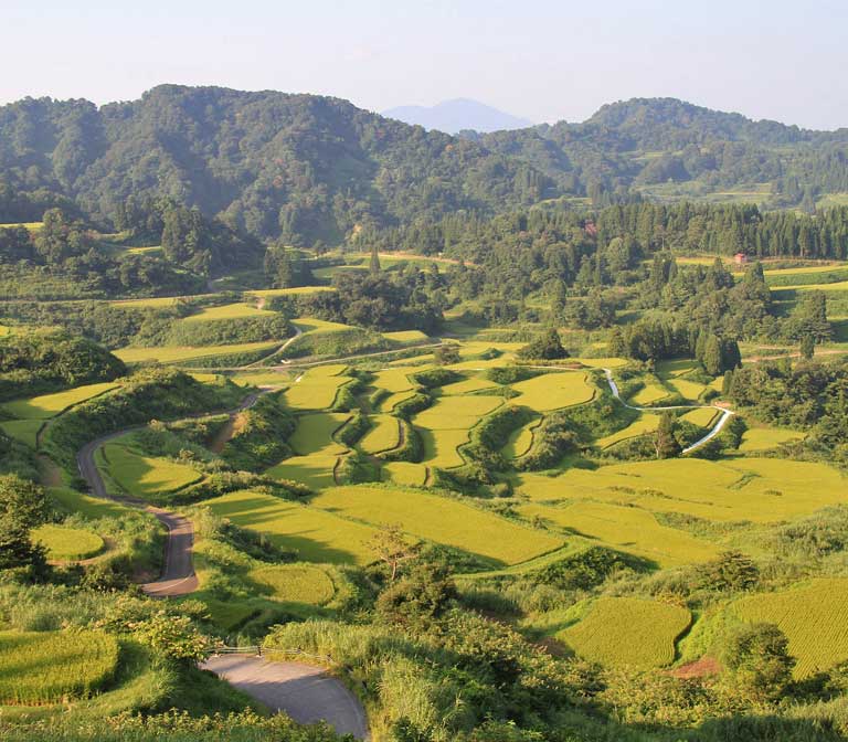 จุดชมวิว นาข้าวขั้นบันได Hoshitoge Rice Terraces