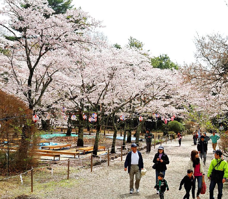 สวนไคราคุเอน Kairakuen Garden