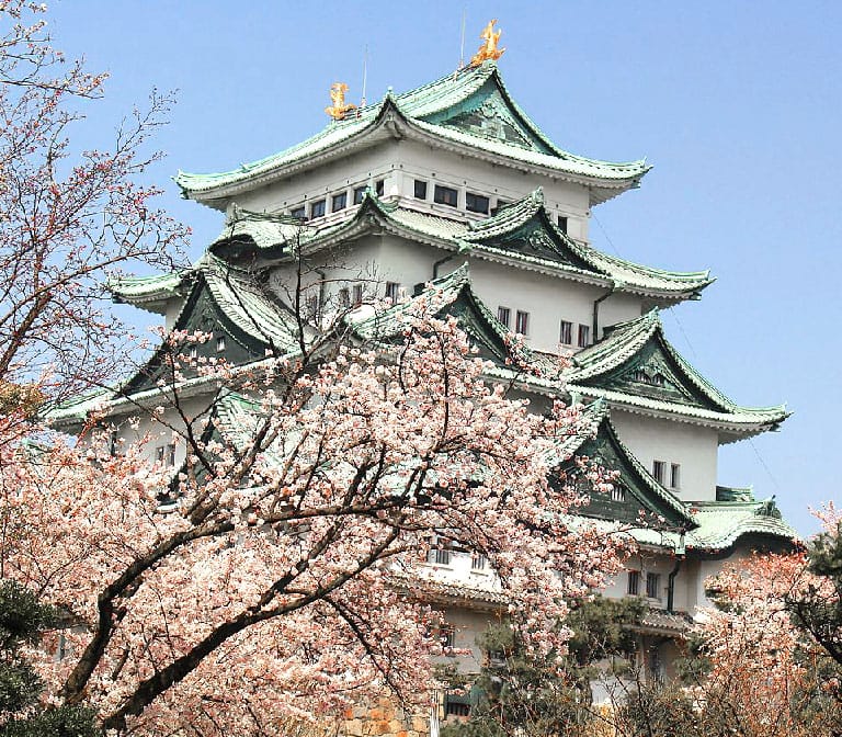 ปราสาทนาโงย่า Nagoya Castle