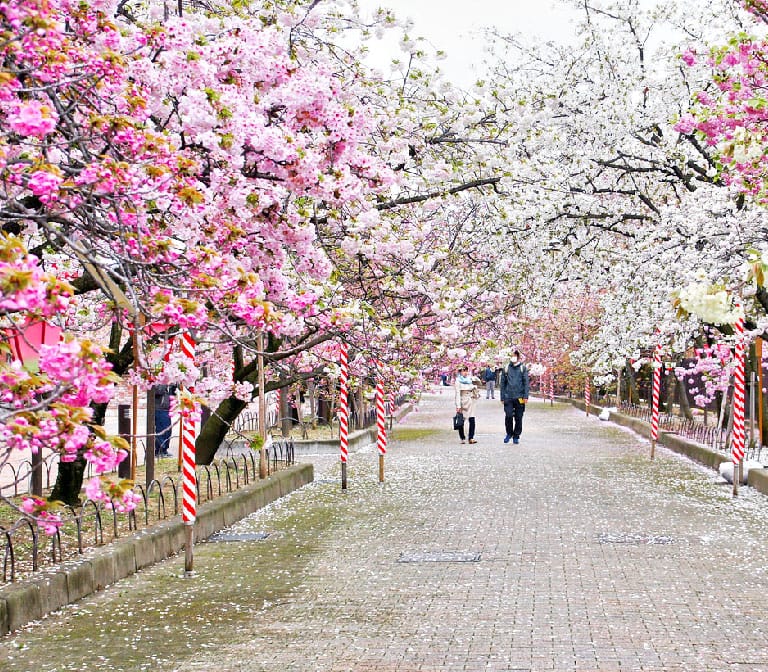 โรงกษาปณ์ญี่ปุ่น Osaka Japan Mint