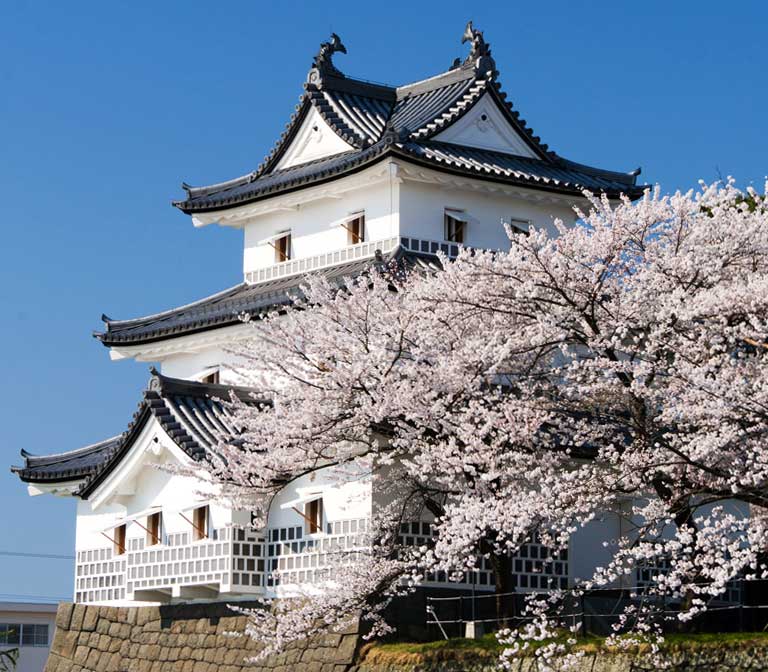 ปราสาท ชิบะตะ Shibata Castle Ruins Park สวนสาธารณะรอบๆ