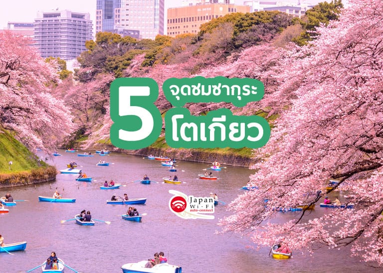 รวม 5 จุดชมซากุระในโตเกียว และทริคดีๆ เตรียมพร้อมก่อนแชะภาพกับซากุระ