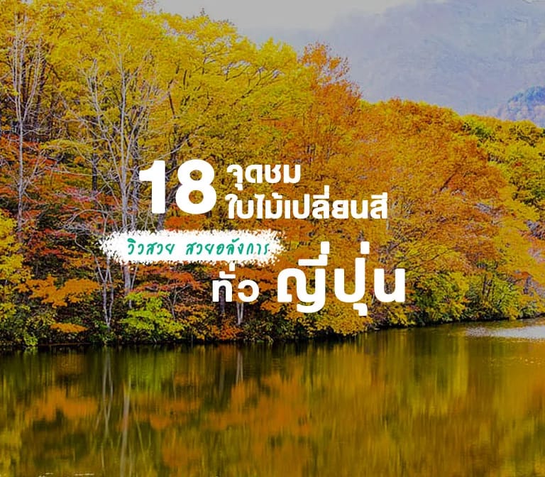 รวม 18 จุดชมใบไม้เปลี่ยนสียอดฮิตของญี่ปุ่น ที่ต้องไปให้ได้ซักครั้ง ทั้งใบไม้แดง ใบไม้เหลือง