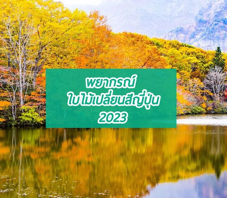 พยากรณ์ใบไม้เปลี่ยนสีญี่ปุ่นปี 2023 ทั้งเหลือง ทั้งแดง พีคช่วงไหนมาดูกัน