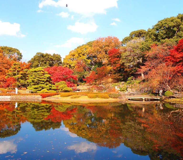 สวนตะวันออกพระราชวังอิมพีเรียล Imperial Palace East Gardens