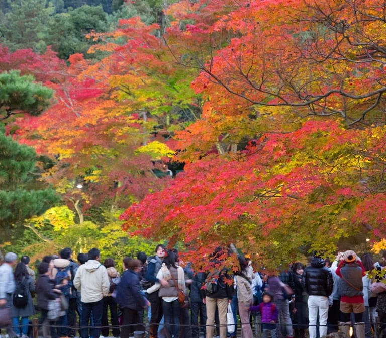 วัดโคไดจิ – Kodaiji Temple