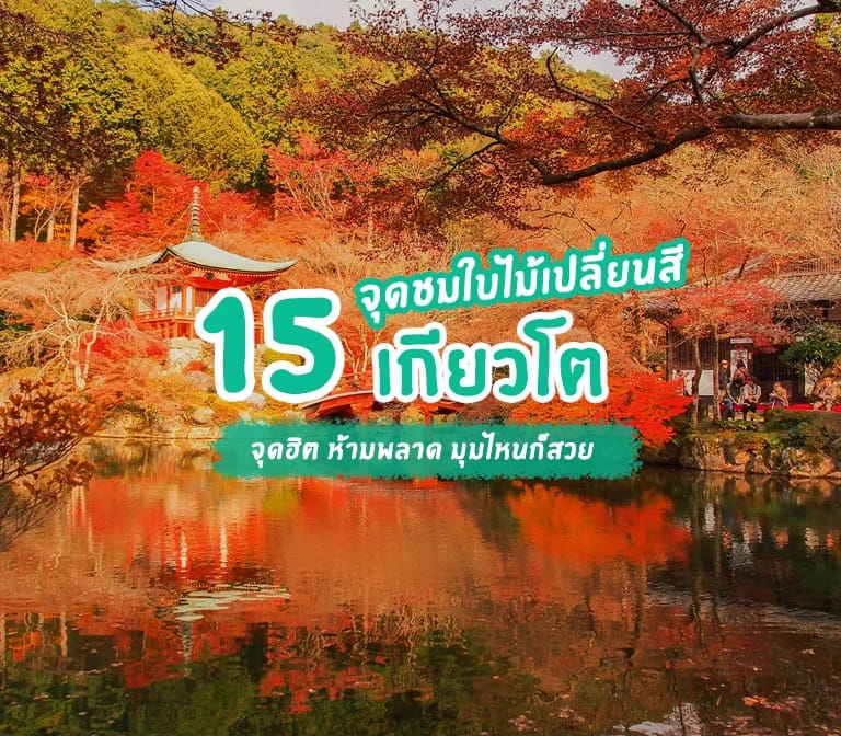 แนะนำ 15 จุดชมใบไม้เปลี่ยนสีเกียวโต สวยสุดอลังการ ทั้งใบไม้แดง เหลือง ส้ม