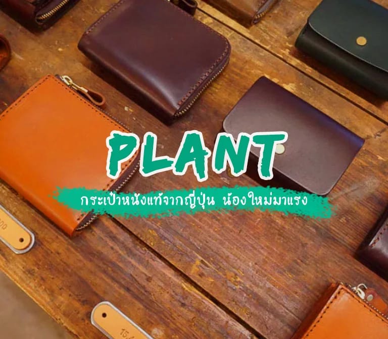 PLANT : กระเป๋าหนังแท้ ที่จะค่อยๆเติบโตไปตามกาลเวลาพร้อมกับเจ้าของ