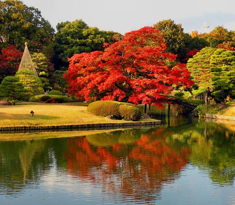 สวนริคุงิเอน – Rikugien Garden
