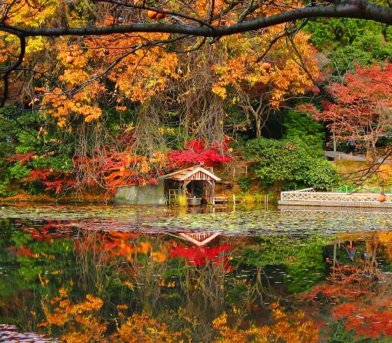 วัดเรียวอันจิ – Ryoanji Temple