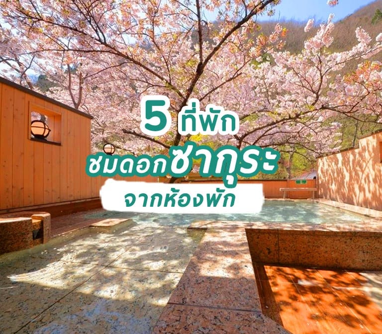 5 โรงแรมที่พัก ชมวิวซากุระสุดอลังการจากห้องพัก