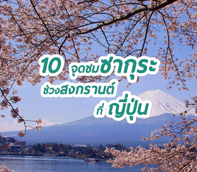 วันหยุดสงกรานต์ ปีนี้ ดูดอกซากุระ Full Bloom ที่ไหนได้บ้าง อัพเดตล่าสุด