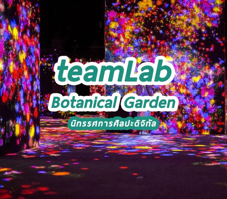 teamLab Botanical Garden นิทรรศการศิลปะ ในสวนพฤกษศาสตร์นางาอิ