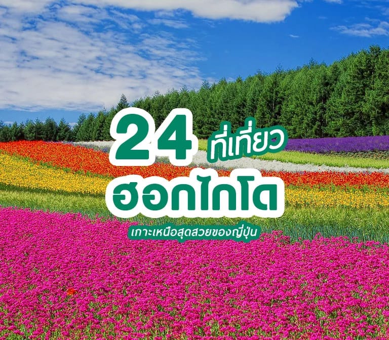 รวมฮิต 24 ที่เที่ยว ฮอกไกโด ยอดฮิตห้ามพลาด เกาะเหนือสุดสวยของญี่ปุ่น