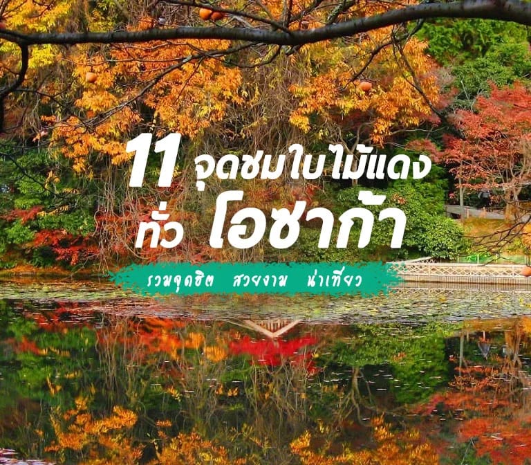 รวม 11 จุดชมใบไม้เปลี่ยนสีโอซาก้า ยอดฮิต ใบไม้แดงสวยสดงดงาม