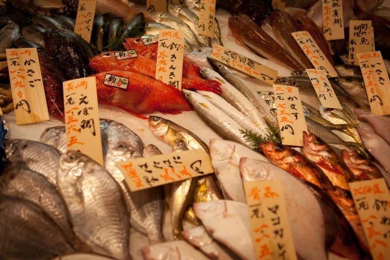 ตลาดปลานากาฮามะ (Nagahama Fish Market)
