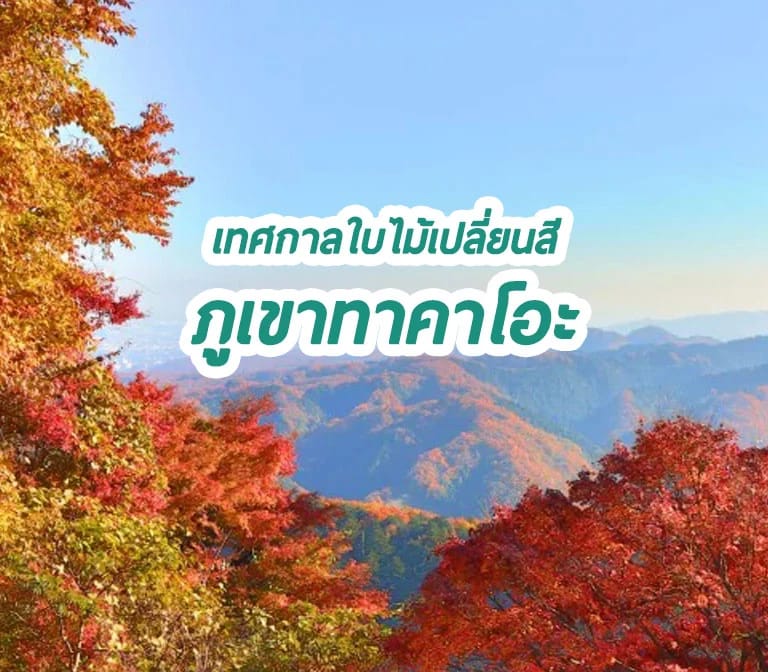 เทศกาลใบไม้เปลี่ยนสีภูเขาทาคาโอะ (Mt. Takao Autumn Festival)