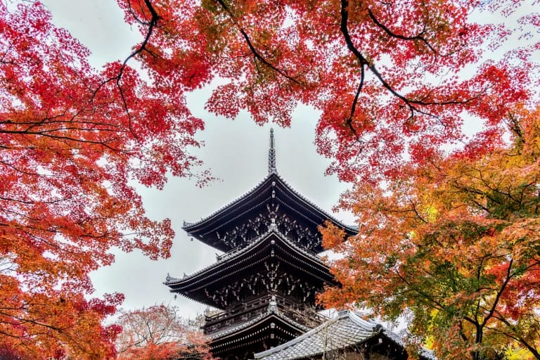 วัดชินเนียวโดะ Shinnyodo Temple