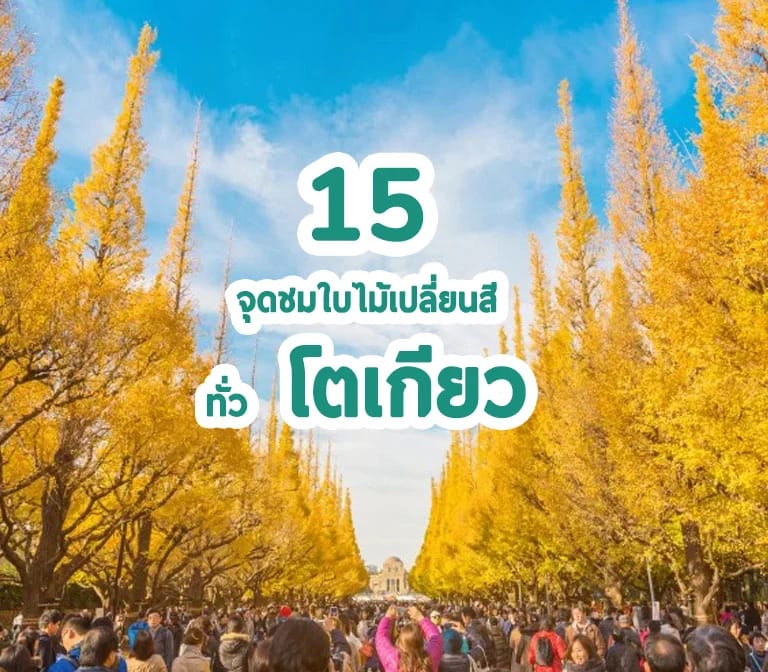 15 จุดชมใบไม้เปลี่ยนสียอดนิยมในเมืองโตเกียว ใบไม้แดง สวยจับใจ