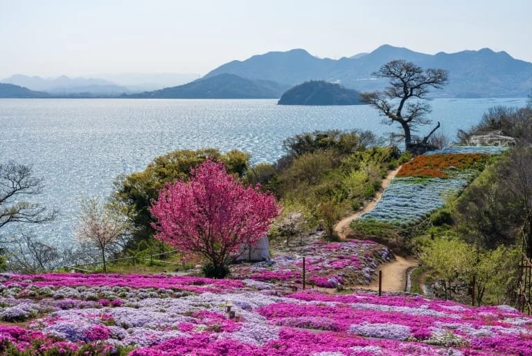 เกาะ ชิชิจิมะ Shishijima island