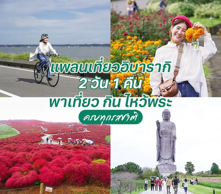 แพลนเที่ยวอิบารากิ 2 วัน 1 คืน พาเที่ยว กิน ไหว้พระ ครบทุกรสชาติ
