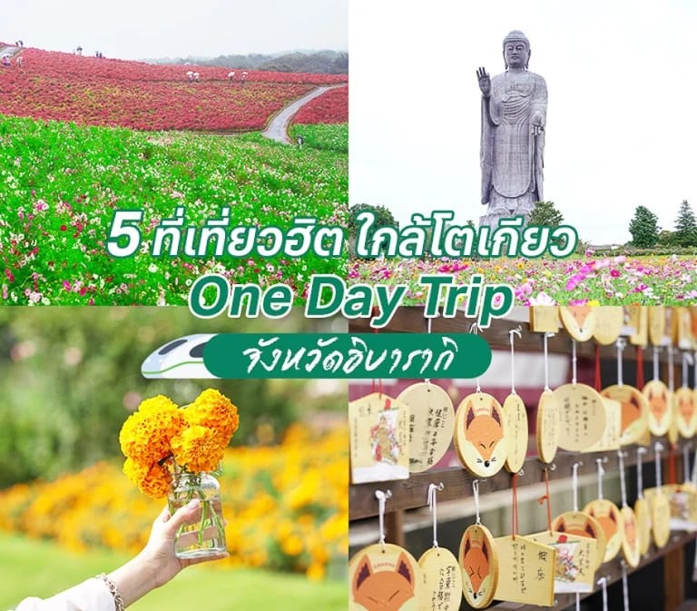 5 ที่เที่ยวฮิต ใกล้โตเกียว One Day Trip ไปเช้าเย็นกลับ จังหวัดอิบารากิ