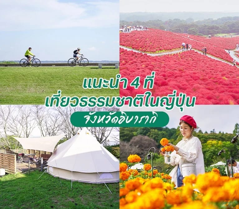 4 ที่เที่ยวธรรมชาติ ในญี่ปุ่น จังหวัดอิบารากิ