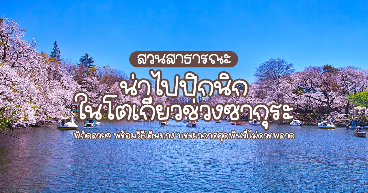 สวนสาธารณะน่าไปปิกนิกใน โตเกียว ช่วง ซากุระ ที่ไม่ควรพลาด
