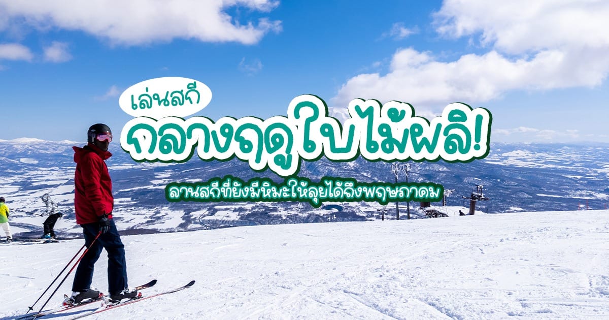 เล่น สกี กลางฤดูใบไม้ผลิ! ลานสกี ญี่ปุ่น ที่ยังมีหิมะให้ลุยได้ถึงพฤษภาคม